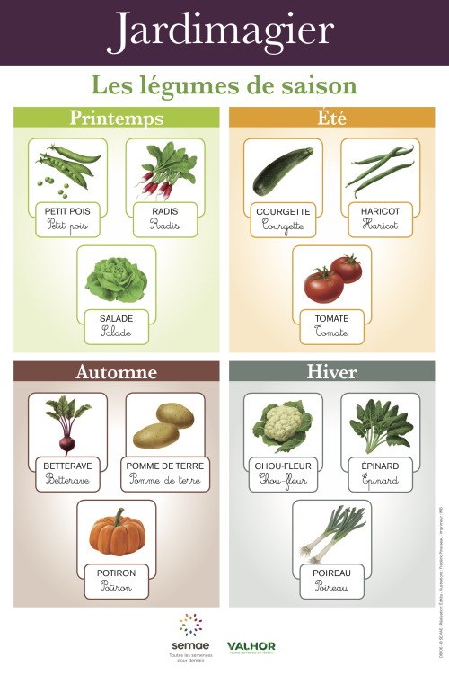 Jardinons à l'école TPS à GS