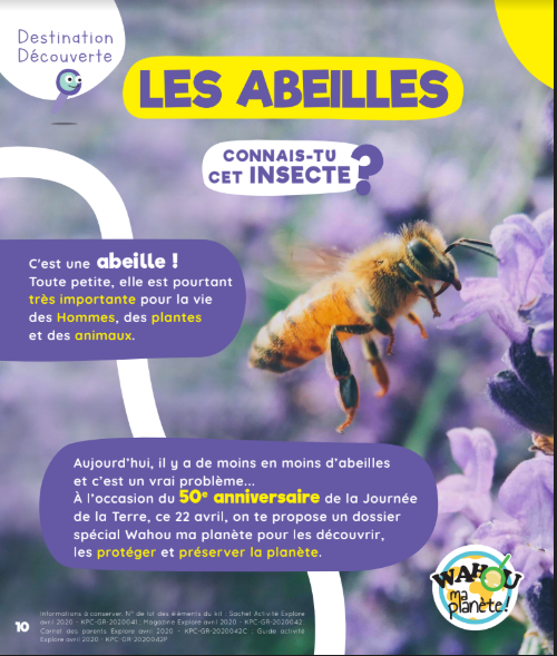 Prendre soin des abeilles