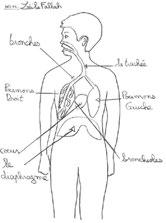 La ventilation et la respiration