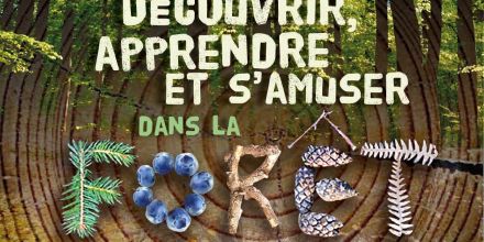Le guide des activités à faire pendant une sortie en forêt 