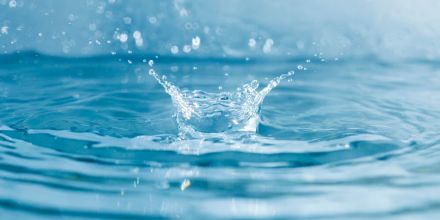 Sur FichesPédagogiques.com : Au fil de l'eau (Cycle 1)