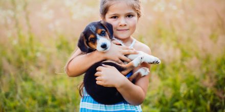 L’éthique animale intègre le nouveau programme d’enseignement moral et civique de CP, se réjouit La Fondation droit animal. Les enfants seront davantage sensibilisés à la cause animale et au respect des êtres vivants dans leur ensemble. 
