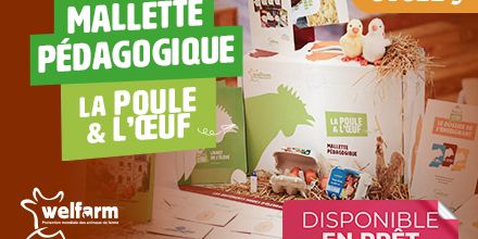 Une mallette pédagogique sur la poule et l'œuf !