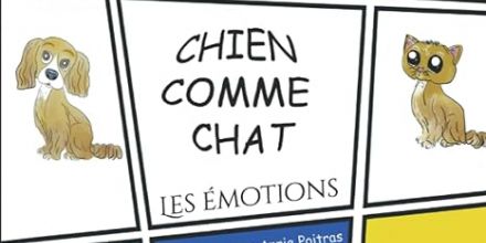 Chien comme chat - Les émotions