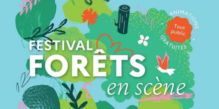 Une plongée au coeur des forêts