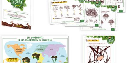 La déforestation expliquée aux petits