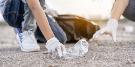 Ressources pour travailler sur l'environnement en classe