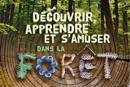 Le guide des activités à faire pendant une sortie en forêt