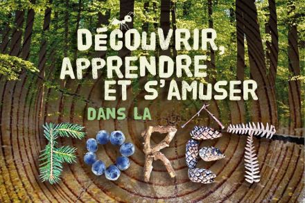 Le guide des activités à faire pendant une sortie en forêt 