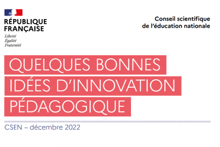 Les « idées d’innovation pédagogique » proposées par le CSEN