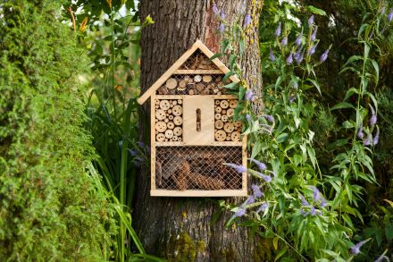 S'intéresser aux petites bêtes du jardin