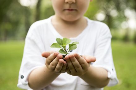 Les mesures pour la transition écologique à l’école