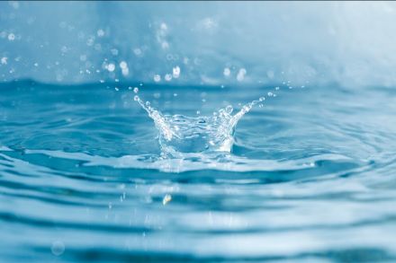 Sur FichesPédagogiques.com : Au fil de l'eau (Cycle 1)