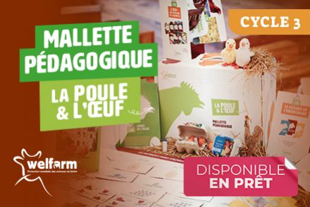 Une mallette pédagogique sur la poule et l'œuf !