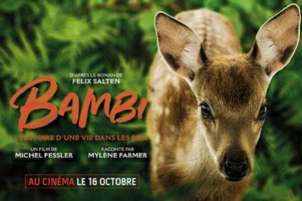 Bambi, l'histoire d'une vie dans les bois – le 16 octobre au cinéma