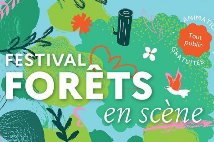 Une plongée au coeur des forêts