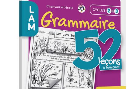 52 Leçons à manipuler en grammaire : ressources numériques