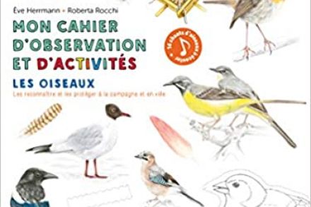 Mon cahier d’observation et d’activités – Les oiseaux