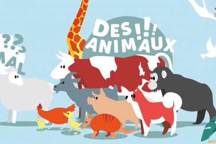 Le respect des animaux à l'école : tout un programme !