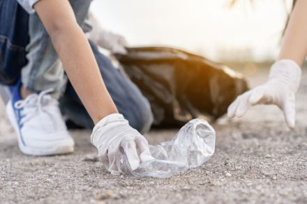 Ressources pour travailler sur l'environnement en classe