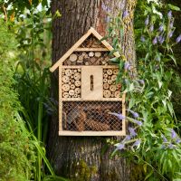 S'intéresser aux petites bêtes du jardin