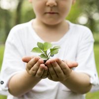 Les mesures pour la transition écologique à l’école