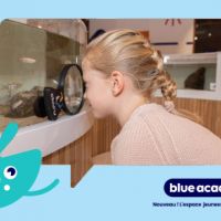 La Blue Academy de Nausicaá : apprendre en s'amusant
